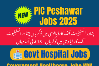 PIC Peshawar Jobs 2025 – Apply for Medical & Support Staff Vacancies