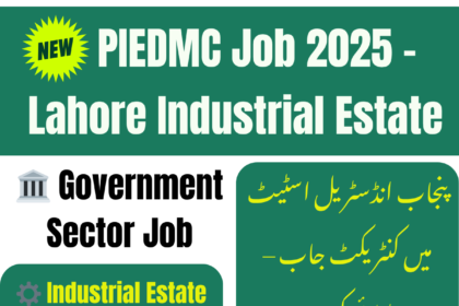 Punjab Industrial Estate Development & Management Company PIEDMC Job 2025 – Apply Now