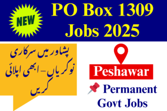 PO Box 1309 Public Sector Organization Peshawar Jobs 2025 – Apply for Permanent Positions