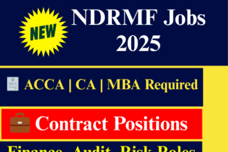 Disaster Management Careers