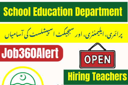 School Education Department 2025 jobs for teachers and education staff