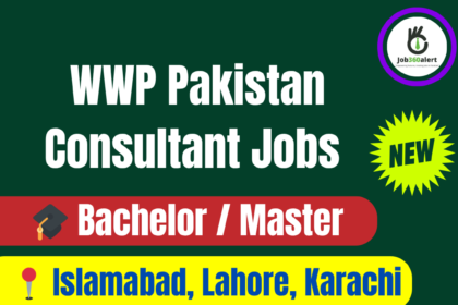 WWP Pakistan hiring consultants for development and advisory roles in 2025
