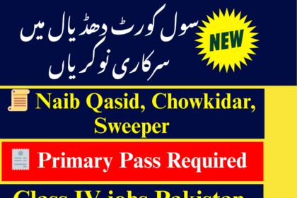 Civil Court Dhudial District Mirpur class IV jobs 2025 – apply now
