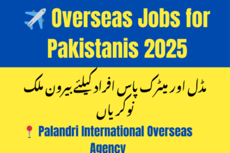 Palandri International Overseas Agency Jobs 2025 – Apply for Middle and Matric Level Roles
