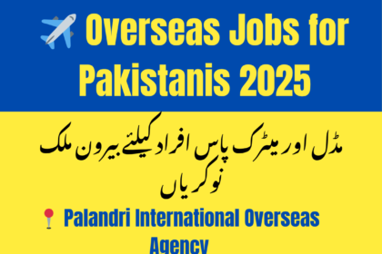 Palandri International Overseas Agency Jobs 2025 – Apply for Middle and Matric Level Roles